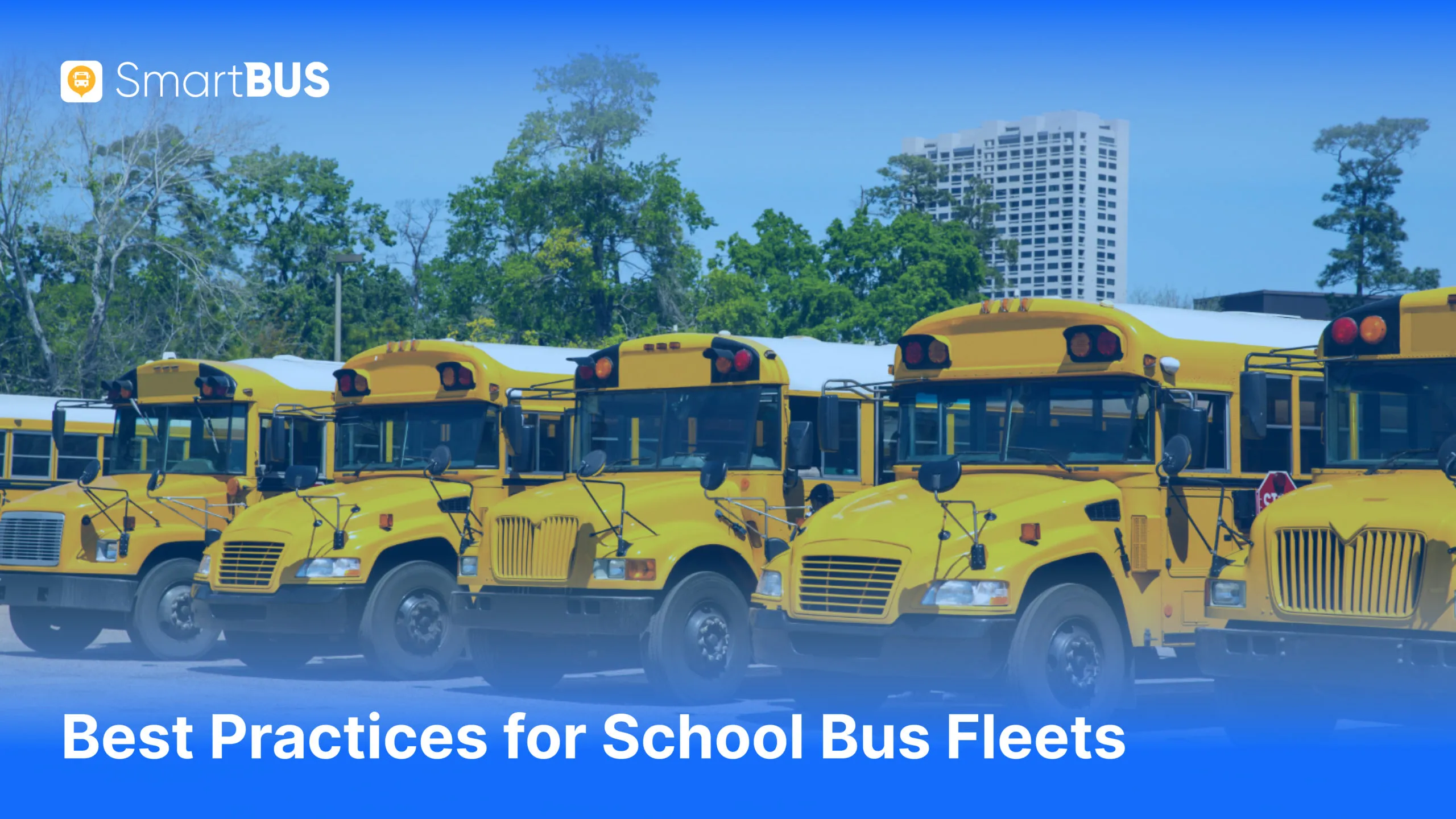 5 Best Practices to Optimize School Bus Fleet Operations